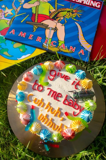 Offspring Americana layer cake with vinyl