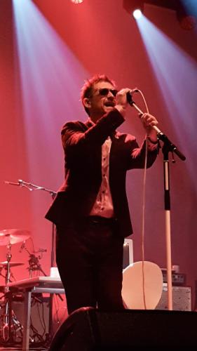 The Divine Comedy Bordeaux Rocher Palmer 2019