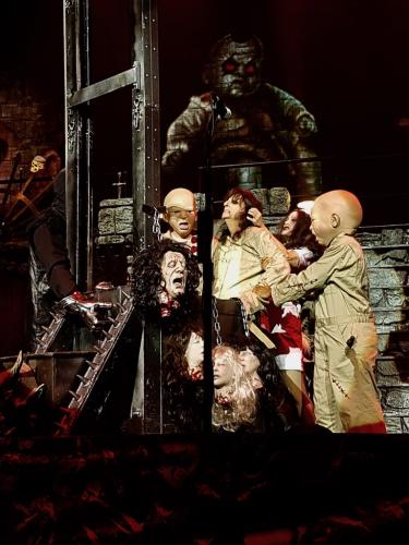 Alice Cooper brought to the guillotine by Sheryl Cooper Bordeaux show 2019