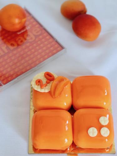 Garbage inspired Apricot entremet with orange mirror glaze