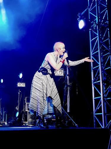 Garbage Cognac Blues Passions 1