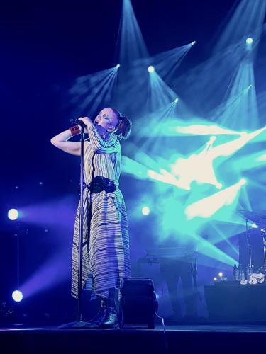 Garbage Cognac Blues Passions 19