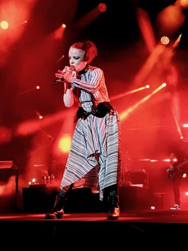 Garbage Cognac Blues Passions 26