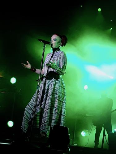 Garbage Cognac Blues Passions 28