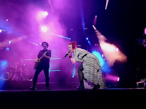 Garbage Cognac Blues Passions 36