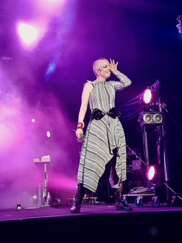 Garbage Cognac Blues Passions 4