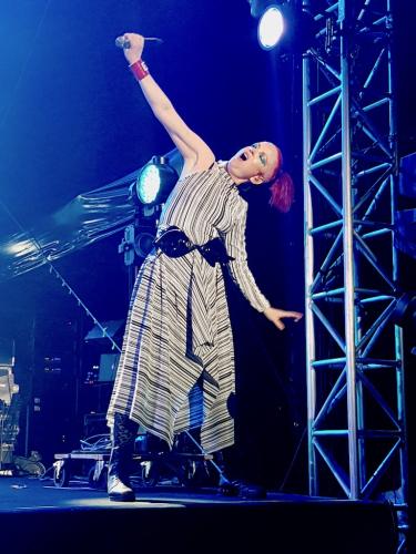 Garbage Cognac Blues Passions 5