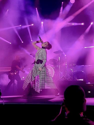 Garbage Cognac Blues Passions 7