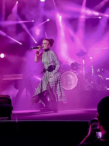 Garbage Cognac Blues Passions 8