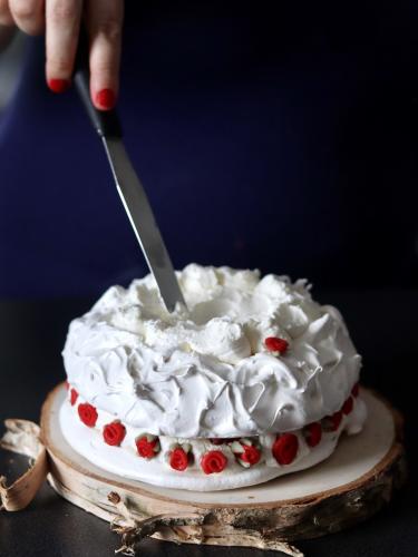 Nick Cave Valentine Pavlova 22