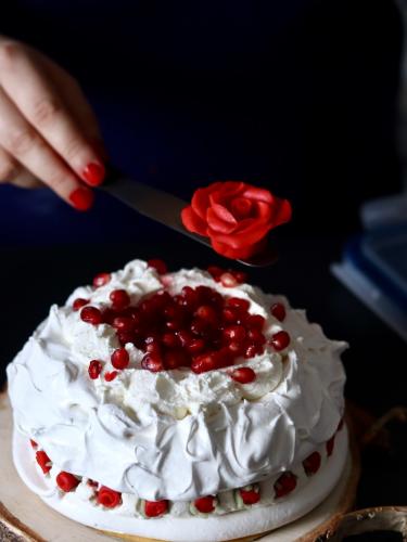 Nick Cave Valentine Pavlova 24