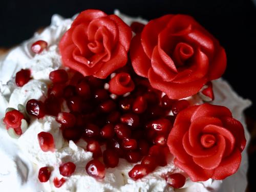 Nick Cave Valentine Pavlova 25