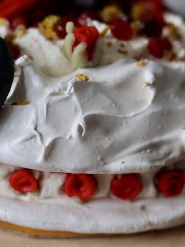 Nick Cave Valentine Pavlova 28