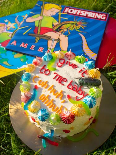 Offspring Americana layer cake with vinyl