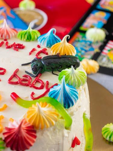 Sugar paste cockroach on top of layer cake
