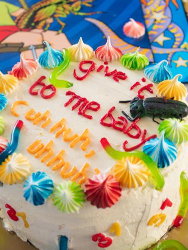 Offspring Americana cake 25