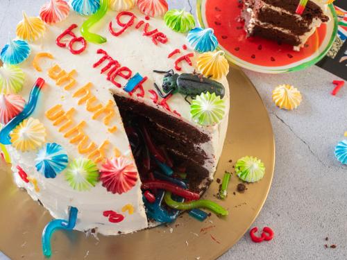 Offspring Americana cake 27