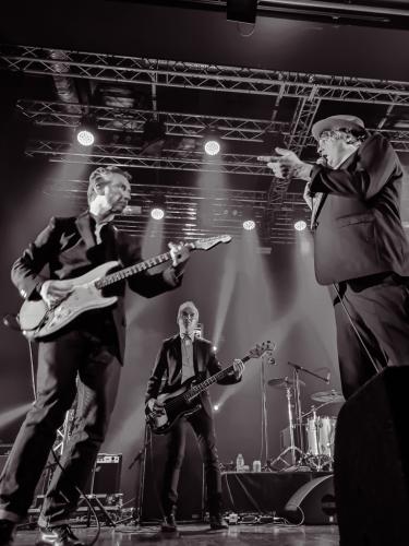 Pete Doherty Bordeaux rock 2022 12