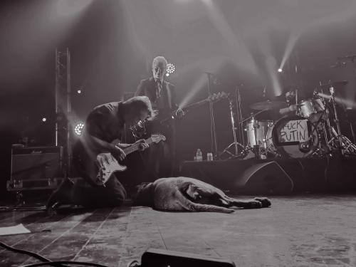 Pete Doherty Bordeaux rock 2022 21