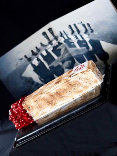 Yule log black forest match cake and Rammstein vinyl