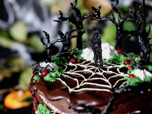 Chocolate layer cake topped with white chocolate spider web and black chocolate figures