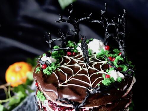 The Cure inspired chocolate layer cake with white chocolate spider web
