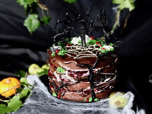 The Cure inspired chocolate layer cake with white chocolate spider web