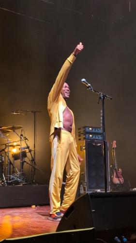 The Libertines Bikini Toulouse 202430