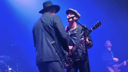 The Libertines Bikini Toulouse 20248